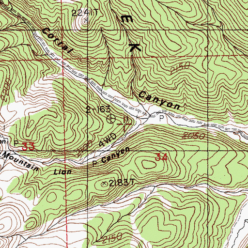 Topographic Map of Mountain Lion Canyon, NV