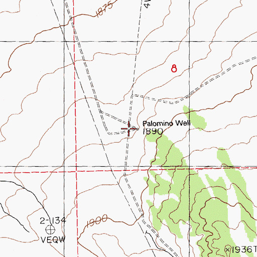 Topographic Map of Palomino Well, NV