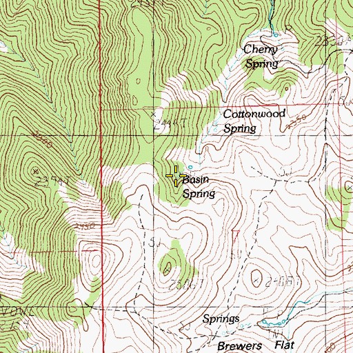 Topographic Map of Basin Spring, NV