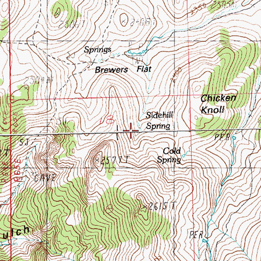 Topographic Map of Sidehill Spring, NV