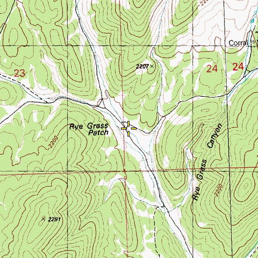 Topographic Map of Rye Grass Patch, NV