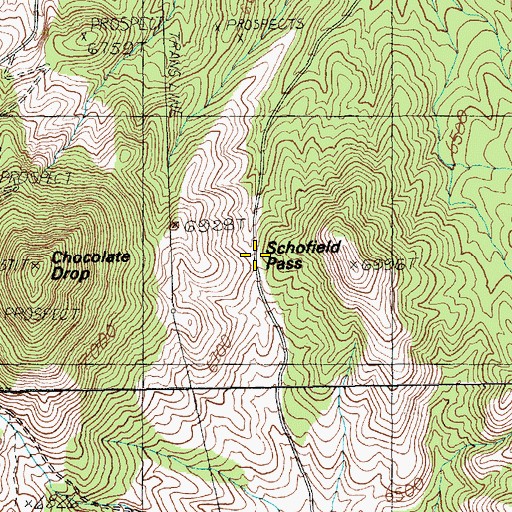 Topographic Map of Schofield Pass, NV