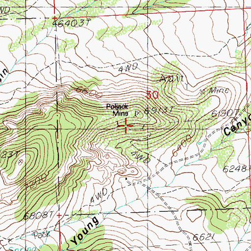 Topographic Map of Poljack Mine, NV