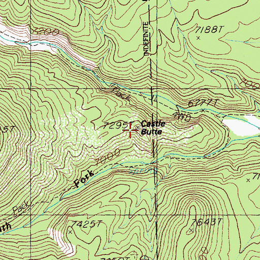 Topographic Map of Castle Butte, NV