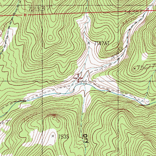 Topographic Map of Salt Marsh Canyon, NV
