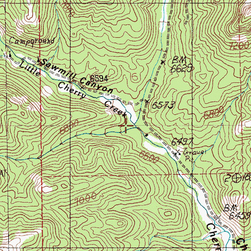 Topographic Map of Sawmill Canyon, NV