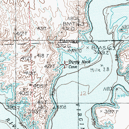 Topographic Map of Dirty Neck Cove, NV