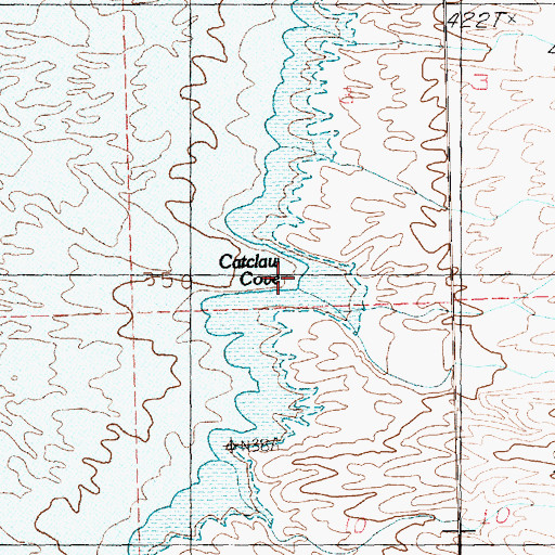 Topographic Map of Catclaw Cove, NV