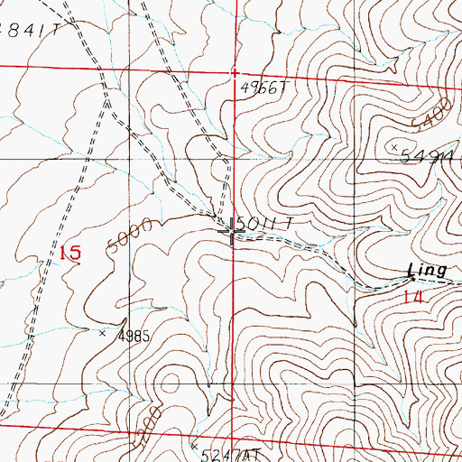 Topographic Map of Ling Canyon, NV