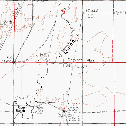 Topographic Map of Domingo Cabin, NV