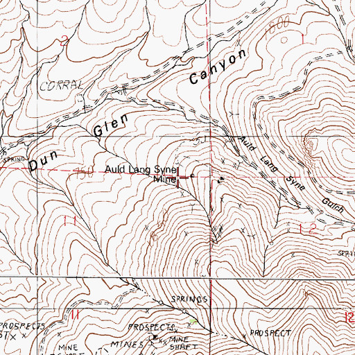 Topographic Map of Auld Lang Syne Mine, NV