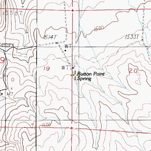 Topographic Map of Button Point Spring, NV
