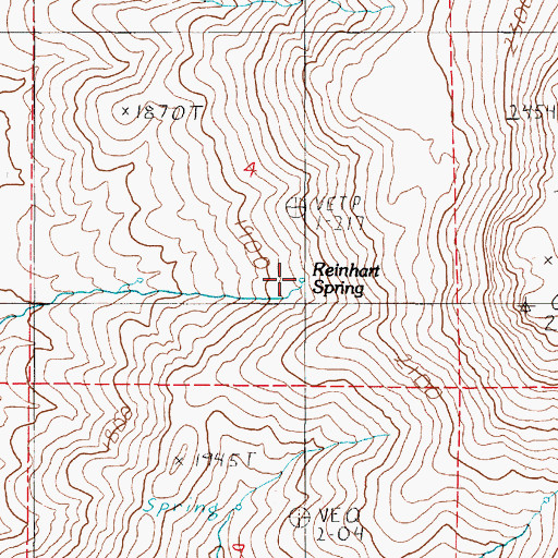 Topographic Map of Reinhart Spring, NV
