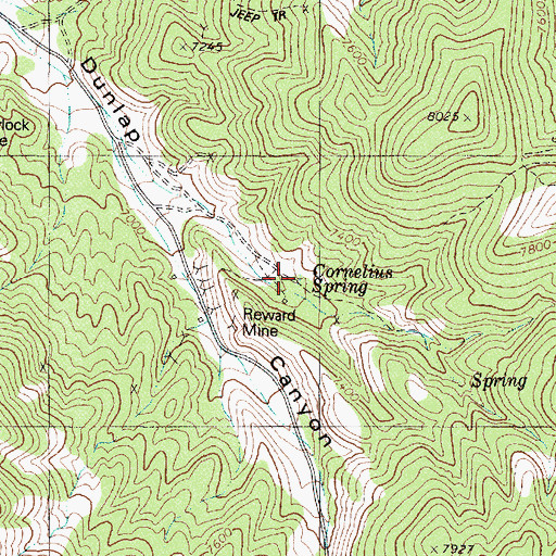 Topographic Map of Cornelius Spring, NV