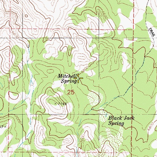 Topographic Map of Mitchell Spring, NV