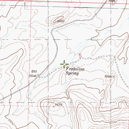 Topographic Map of Ferdaline Spring, NV