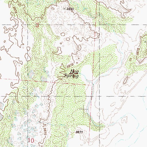 Topographic Map of Hog Spring, NV