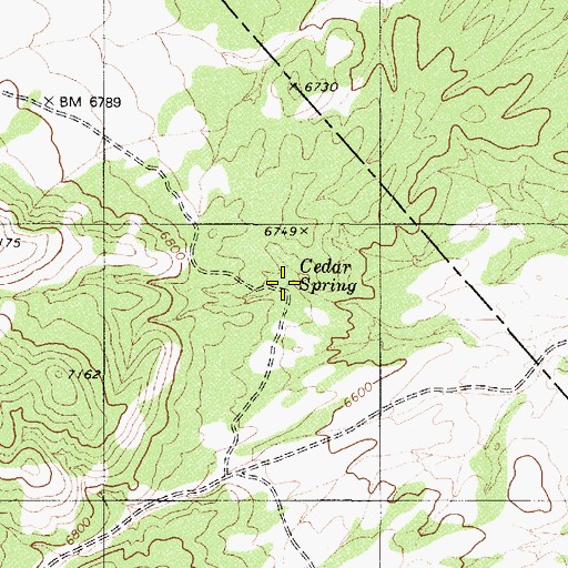 Topographic Map of Cedar Spring, NV