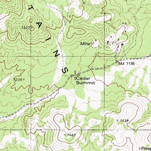 Topographic Map of Cedar Summit, NV