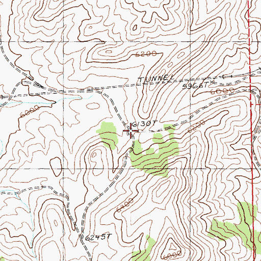 Topographic Map of Flower Pass, NV