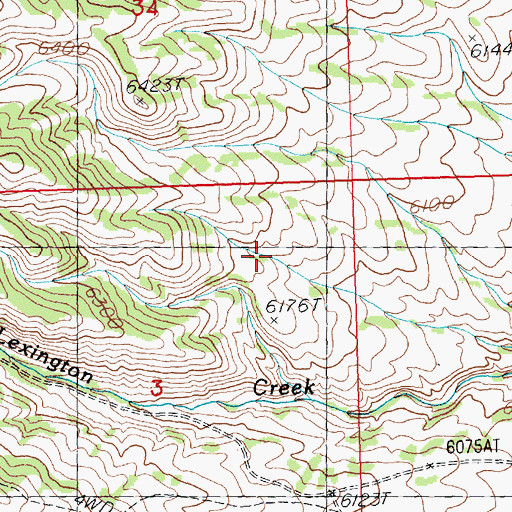 Topographic Map of Lexington Spring, NV