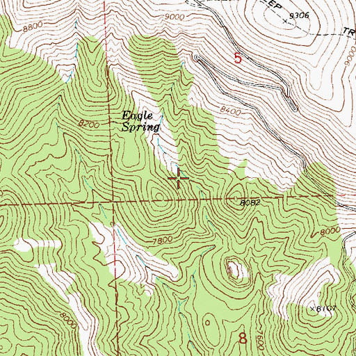 Topographic Map of Mountain View Spring, NV