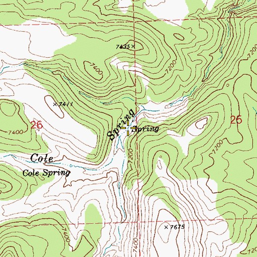 Topographic Map of Middle Cole Spring, NV