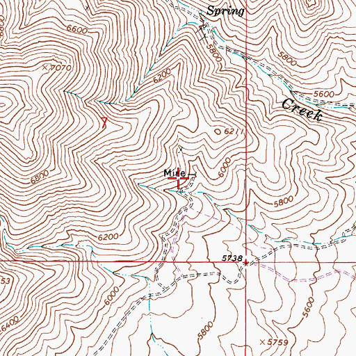 Topographic Map of Silver Lead Mine, NV