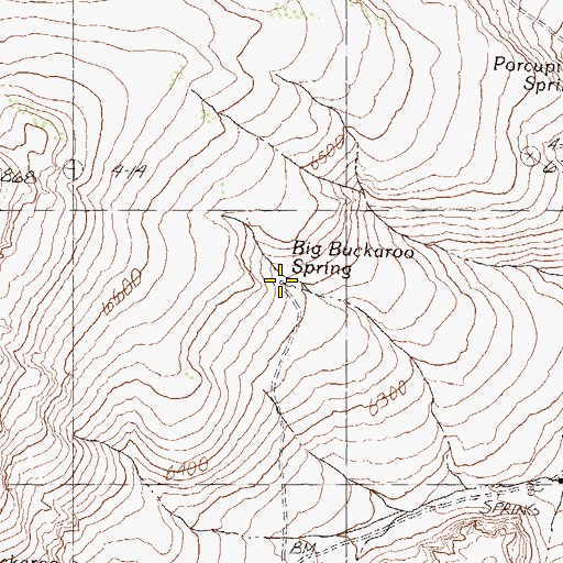 Topographic Map of Big Buckaroo Spring, NV