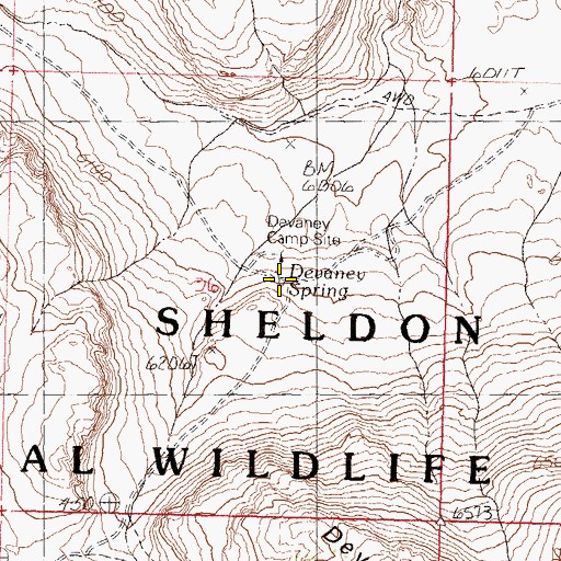 Topographic Map of Devaney Spring, NV