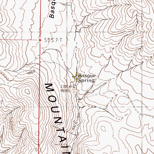 Topographic Map of Basque Spring, NV