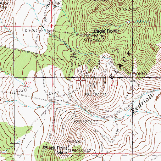 Topographic Map of Black Point Mine, NV