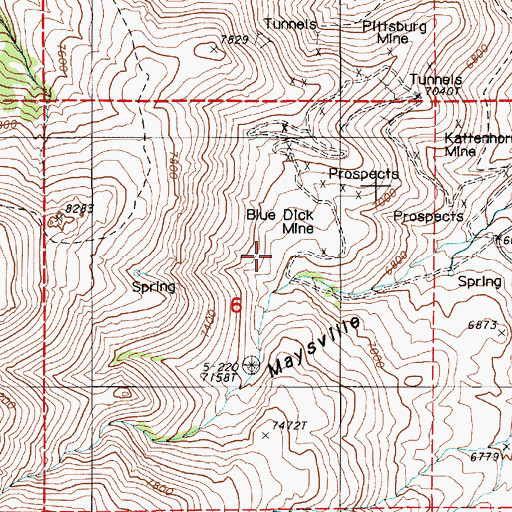 Topographic Map of Blue Dick Mine, NV