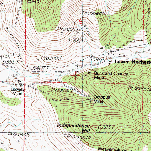 Topographic Map of Buck and Charley Mine, NV