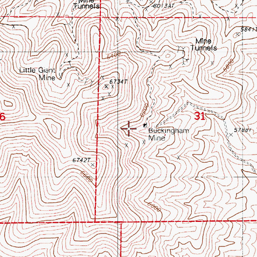 Topographic Map of Buckingham Mine, NV