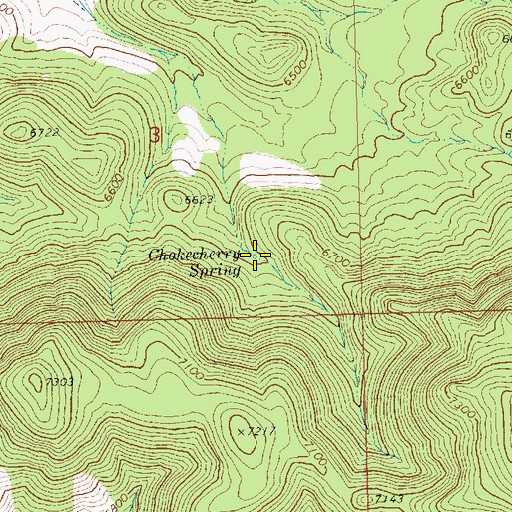 Topographic Map of Chokecherry Spring, NV
