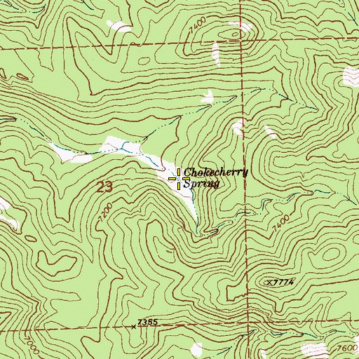 Topographic Map of Chokecherry Spring, NV