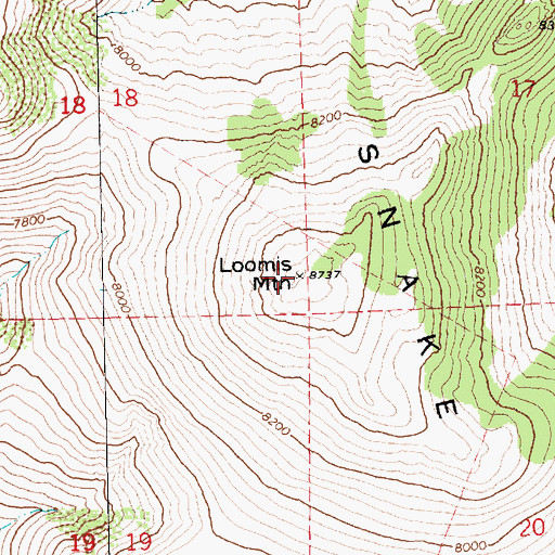 Topographic Map of Loomis Mountain, NV