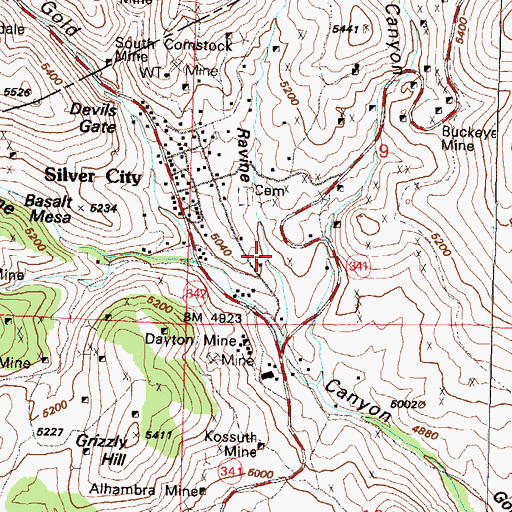 Topographic Map of Negro Ravine, NV