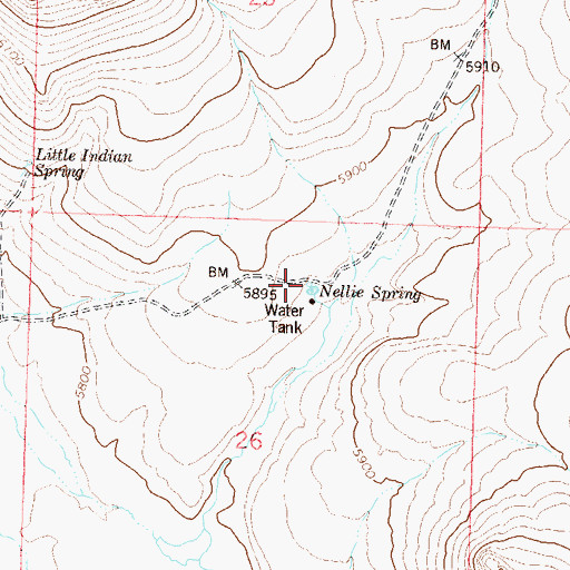 Topographic Map of Nellie Spring, NV