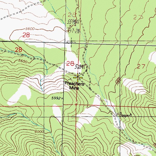 Topographic Map of Preachers Mine, NV