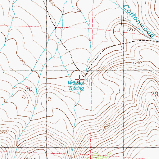 Topographic Map of Wildcat Spring, NV