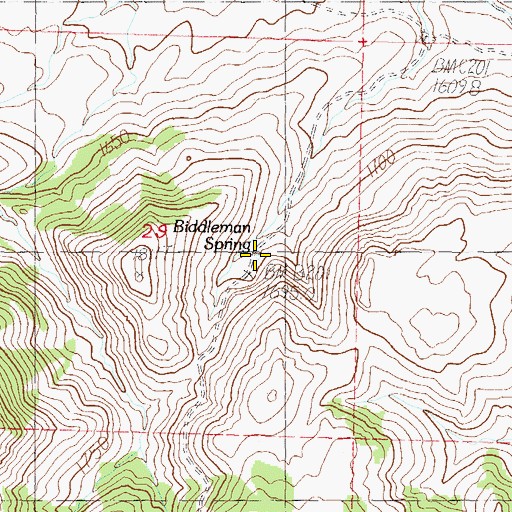 Topographic Map of Biddleman Spring, NV