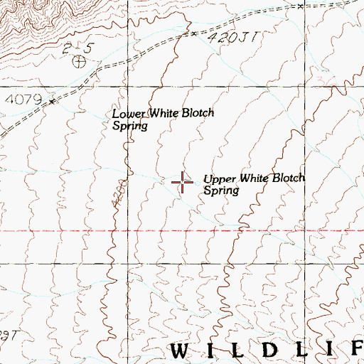 Topographic Map of Upper White Blotch Spring, NV