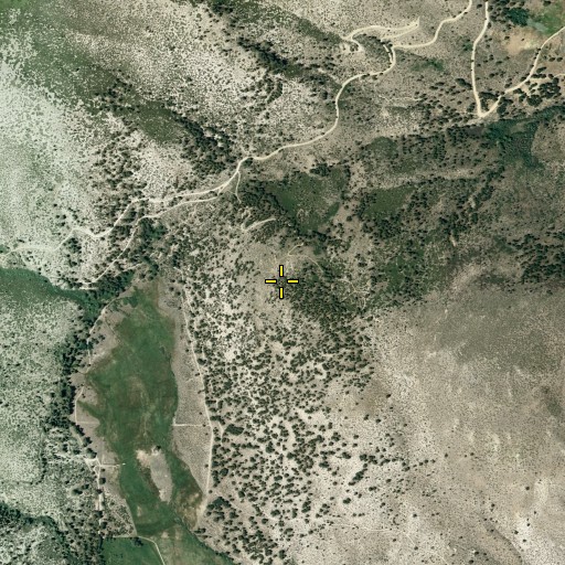 Aerial/Satellite Image of Athens Mine, NV
