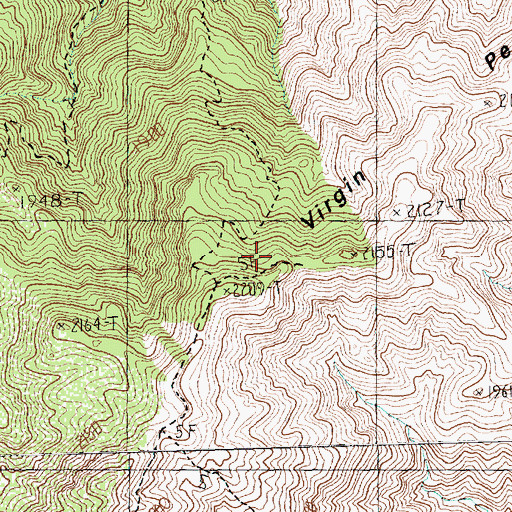 Topographic Map of Silver Leaf Mine, NV