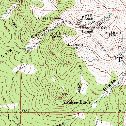 Topographic Map of Cambrian and New York Mine, NV