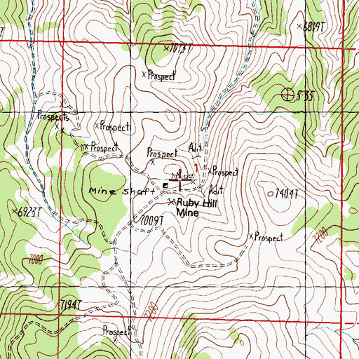 Topographic Map of Nevada Tungsten Mine, NV