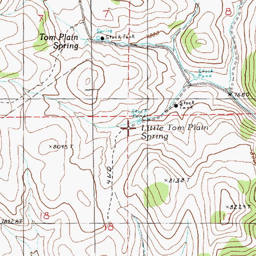 Topographic Map of Little Tom Plain Spring, NV