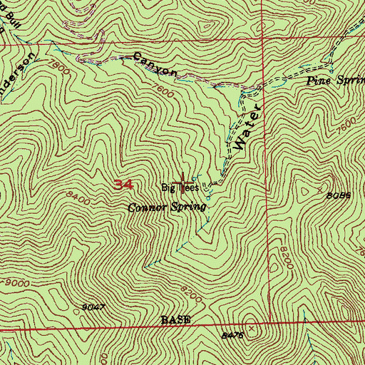 Topographic Map of Big Trees, NV